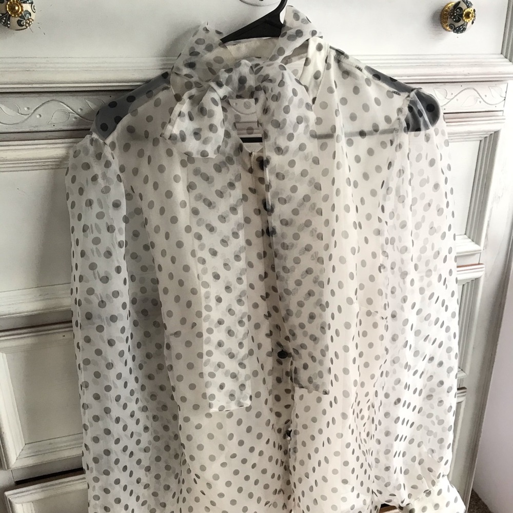 Sheer long sleeve dress blouse